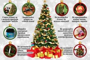 Волинянам розповіли, де краще ставити ялинку