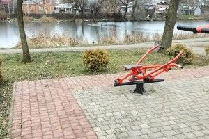 З парку у Рожищі викрали туї