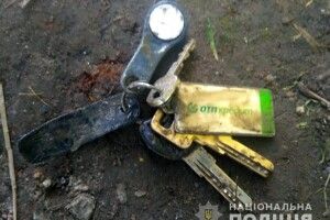 У Луцьку в Стиру знайшли тіло людини