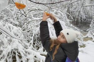 На Волині діти годували птахів у засніженому парку (Фото, відео)