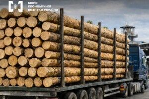 Ліс – у Польщу, директора – під суд: волинський бізнесмен погорів на «липових» документах