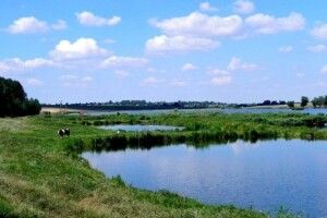 Не вміла плавати, а врятувала хлопчика: в селі на Волині досі обговорюють щасливий випадок
