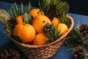 До України хотіли завезти мандарини з личинками мухи