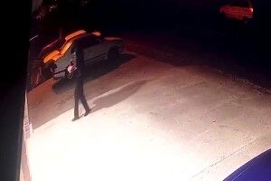 У двір приватного будинку кинули свинячу голову зі встромленим ножем (Фото 18+)