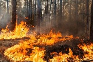 У Луцькому районі - надзвичайно високий рівень пожежної небезпеки!
