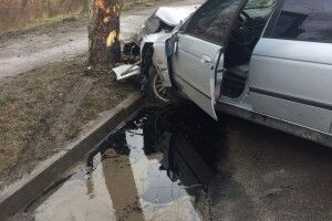 У Луцьку легковик врізався в дерево