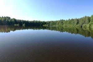 На Житомирщині потонули двоє 10-річних хлопчиків