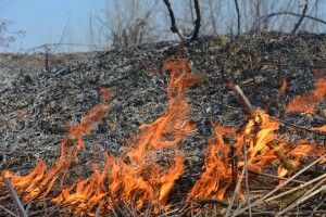 Спіймали паліїв сухостою. Горохівські рятувальники провели рейди