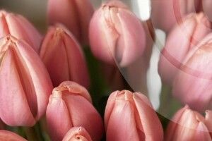 Якою буде погода на Волині