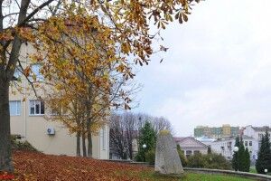 Хмарно та сухо. Якою буде погода у понеділок