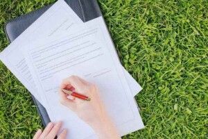 На Волині через бездіяльність сільради можуть зникнути рідкісні птахи