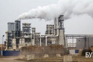 Оприлюднили список найгрошовитіших компаній Волині