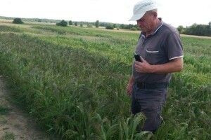 На Любешівщині вже під час посівної розраховують на високі врожаї