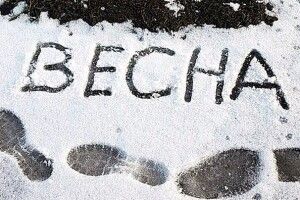 Погода на середу, 24 березня: північний вітер, а вночі – добрячий морозець
