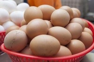 Наші яйця — цінуються!