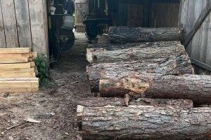 У волинянина вилучили незаконні деревину, гроші і зброю