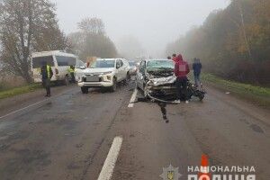 На Волині водійка Renault зіткнулася із Mitsubishi (Фото)