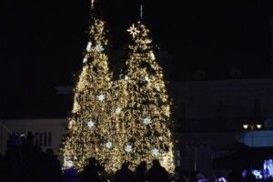Коли у Луцьку засвітять головну ялинку