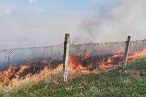 На Львівщині за добу рятувальники загасили 9 пожеж сухостою