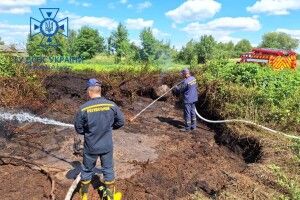На Волині в урочищі загорівся торф