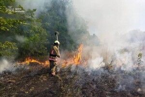 Волинь палає і без путінських ракет...