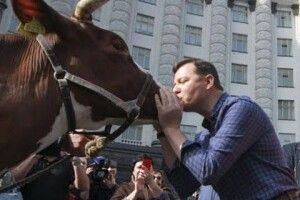 «Начувайтеся, скотиняки!»: Ляшко вже оголосив сам себе переможцем довиборів у Верховну Раду 