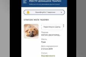 Мобільні технології допомагають шукати улюбленців