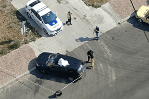Жінці розбили автомобіль і «прикрасили» відрізаною коров'ячою головою (Фото 18+)