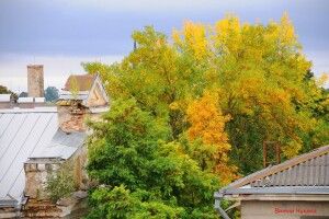 Луцький митець поділився осінніми світлинами обласного центру