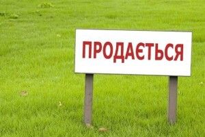 В Україні попри війну стрімко зростають ціни на землю