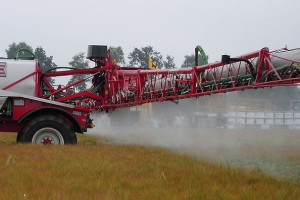 Виробник олії отруїв майже 300 українців: розпочалась термінова перевірка компанії