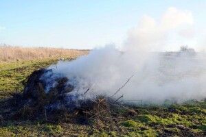 На «гарячому» на Львівщині спіймали п’ятьох паліїв сухої трави (Фото)