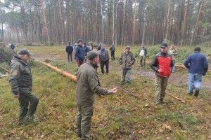 На Волинському Поліссі селяни на чолі зі священником протестують проти вирубки лісу (Фото)