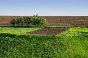 На Рівненщині 45-річна жителька «привласнила» земельну ділянку оборони