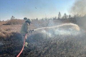 Невеселий рекорд: сьогодні на Волині виникло 12 пожеж (Фото)!