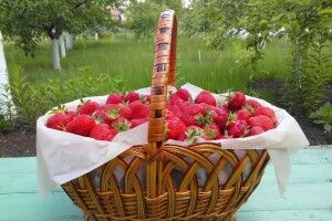 Як правильно мити полуниці