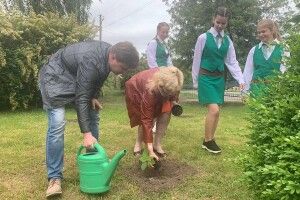 У волинському селі на території ліцею висадили сквер павловній