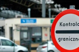 Українець заховав у багажнику тварин, щоб незаконно вивезти у Польщу (Фото)
