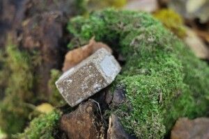 На Волині розкладуть 375 тисяч доз вакцини від сказу диких тварин