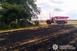 На Рівненщині під час спалювання стерні загинула пенсіонерка  