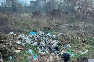 Ганьба: в Іваничах посеред поля влаштували стихійне сміттєзвалище