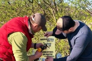 У селищі на Волині небайдужі люди встановили урни для сміття та агітаційні таблички