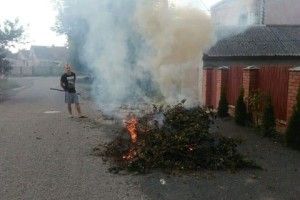 На Львівській луцький «муніципал» злапав озброєного вилами палія 