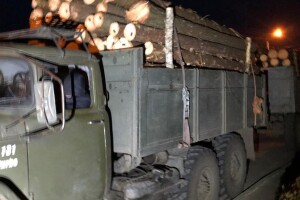 У Ратному зупинили вантажівку із незаконною деревиною (Фото)