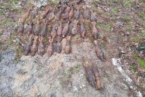 На Рівненщині поблизу села Борове виявлено 29 мінометних мін