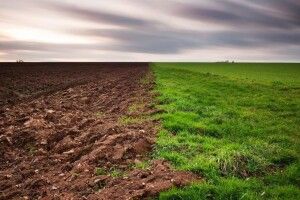 Громаді на Волині повернули майже 100 га землі