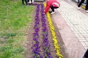 У Луцьку на меморіалі висаджують квіти (Фото)