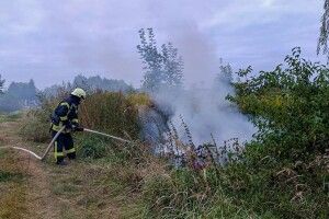 На Волині дитячі пустощі ледь не спалили цвинтар