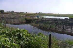 На 48 років: на Волині здають в оренду ставки