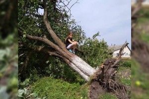 На Любешівщині вітер виривав великі дерева з корінням і руйнував дахи